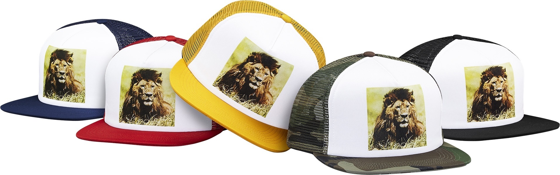 Lion Mesh Back 5-Panel